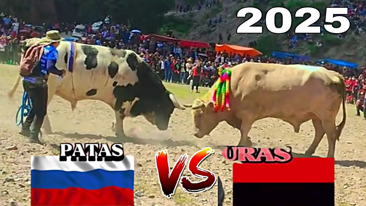 Fiesta de pascua “TORO TINKU 2025 - San  Pedro de Buena Vista