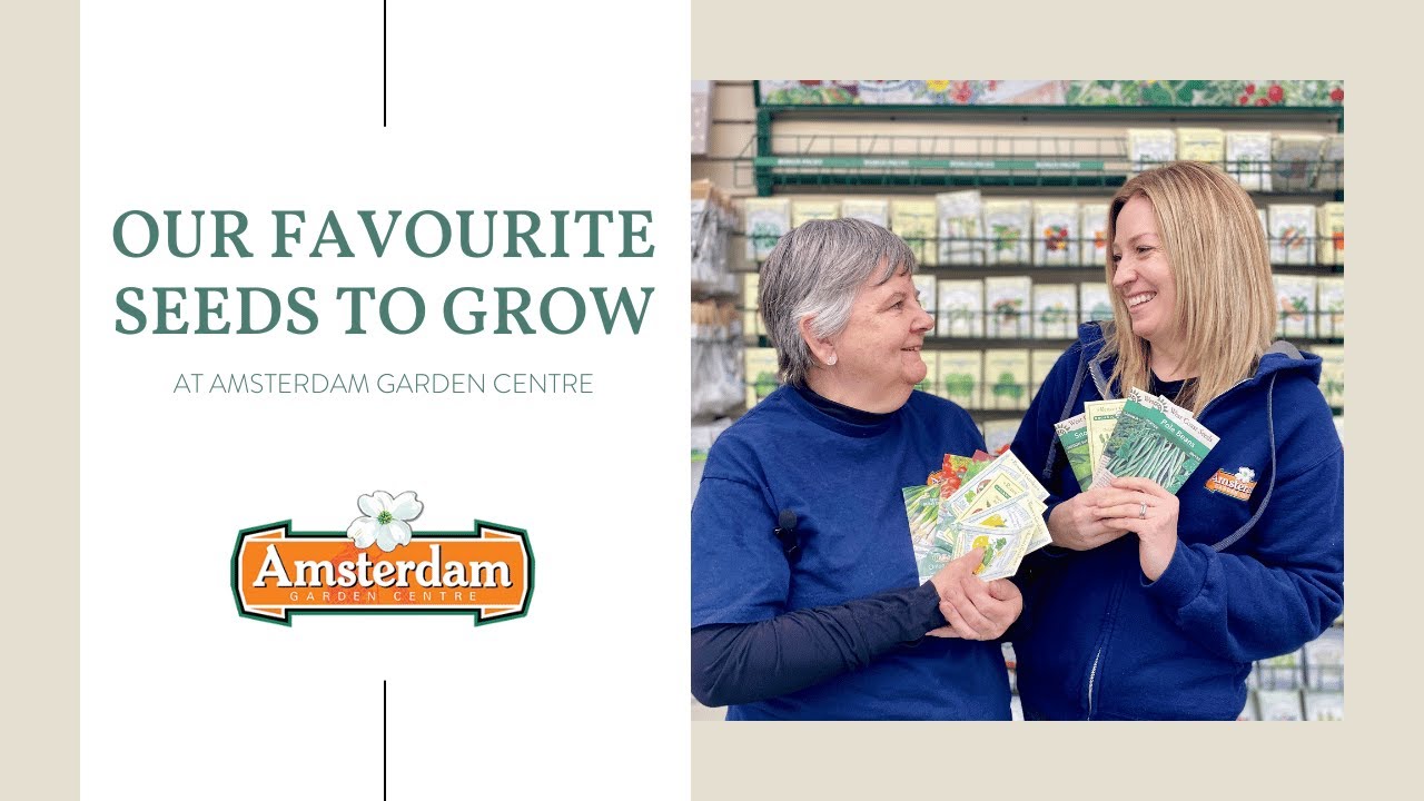 Our Favourite Seeds to Grow 🌱