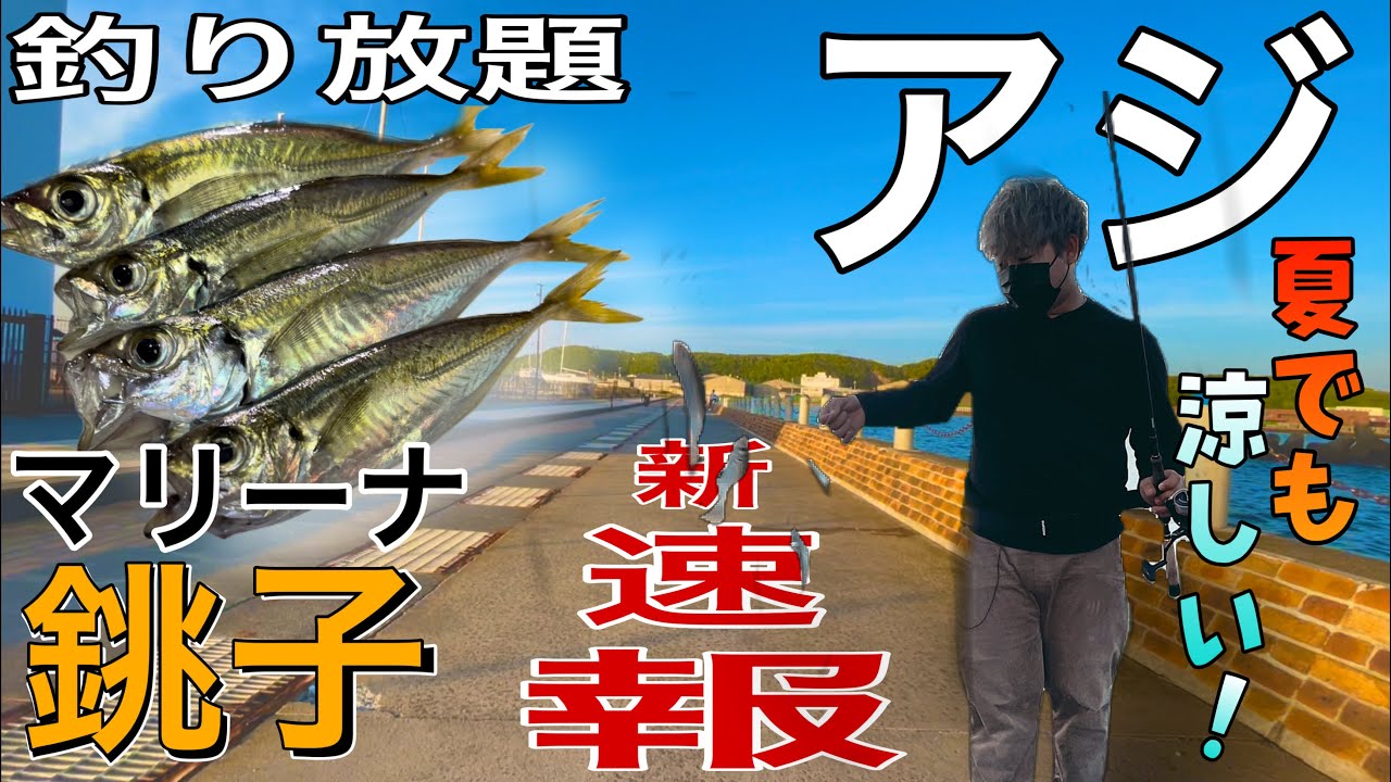 【銚子マリーナ】涼しい銚子でアジ釣りするの気持ち良すぎだろ！！！7月の平均気温26℃？　