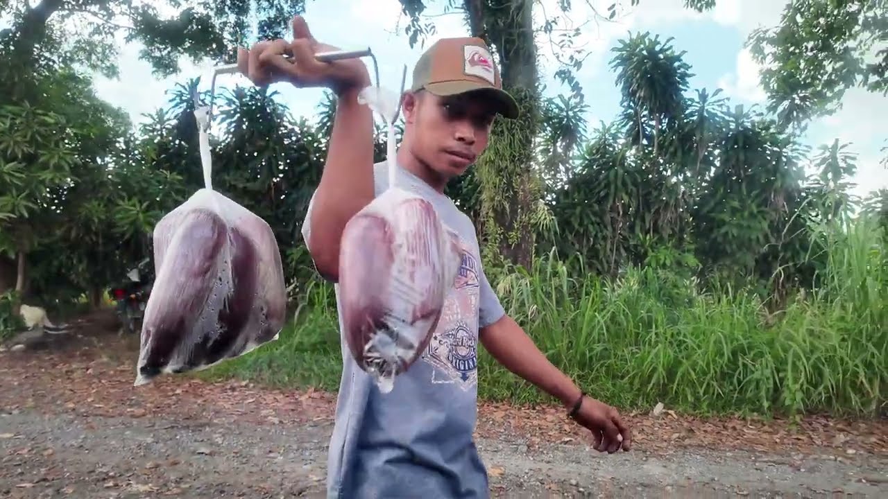 Tiba2 di datangi Penjual jagung simpang 4 lampu isyarat