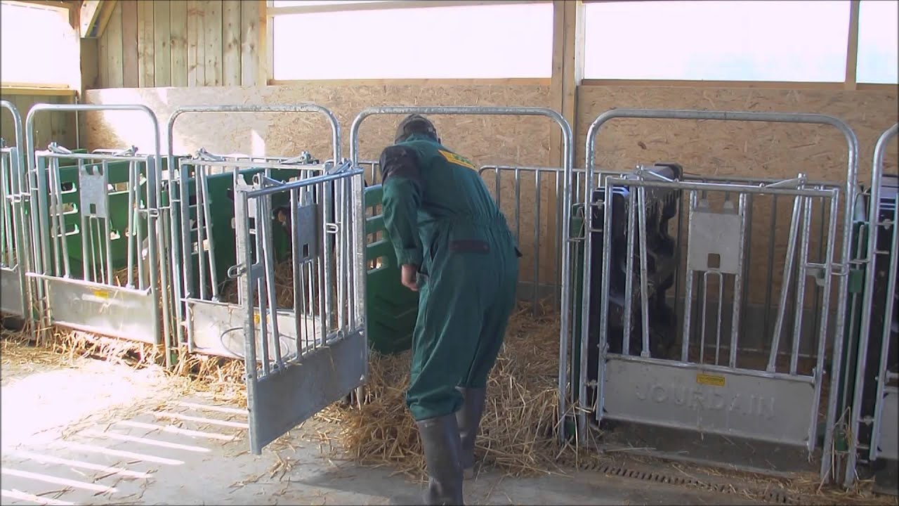 JOURDAIN leader case à veau 