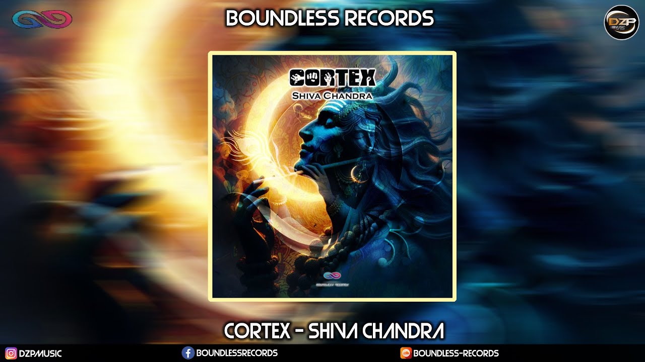 Cortex - STP