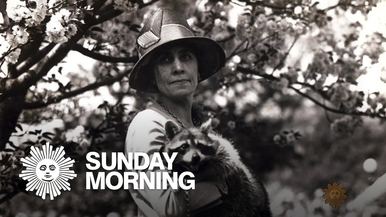 All the presidents' pets: Calvin Coolidge's White House raccoon