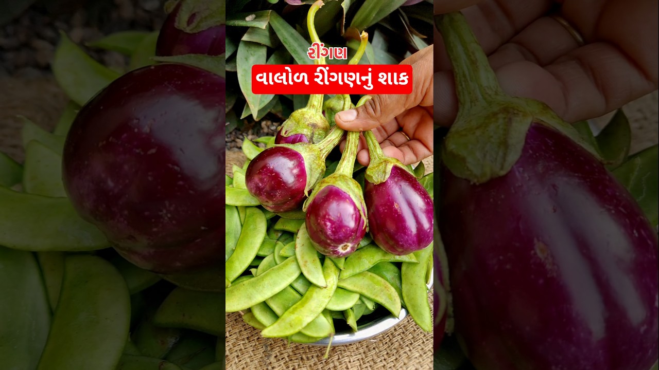 વાલોળ રીંગણનું શાક ,વાલોળનું શાક, ringan valor nu shak #villagerecipes #recipe #shorts #valorsabji