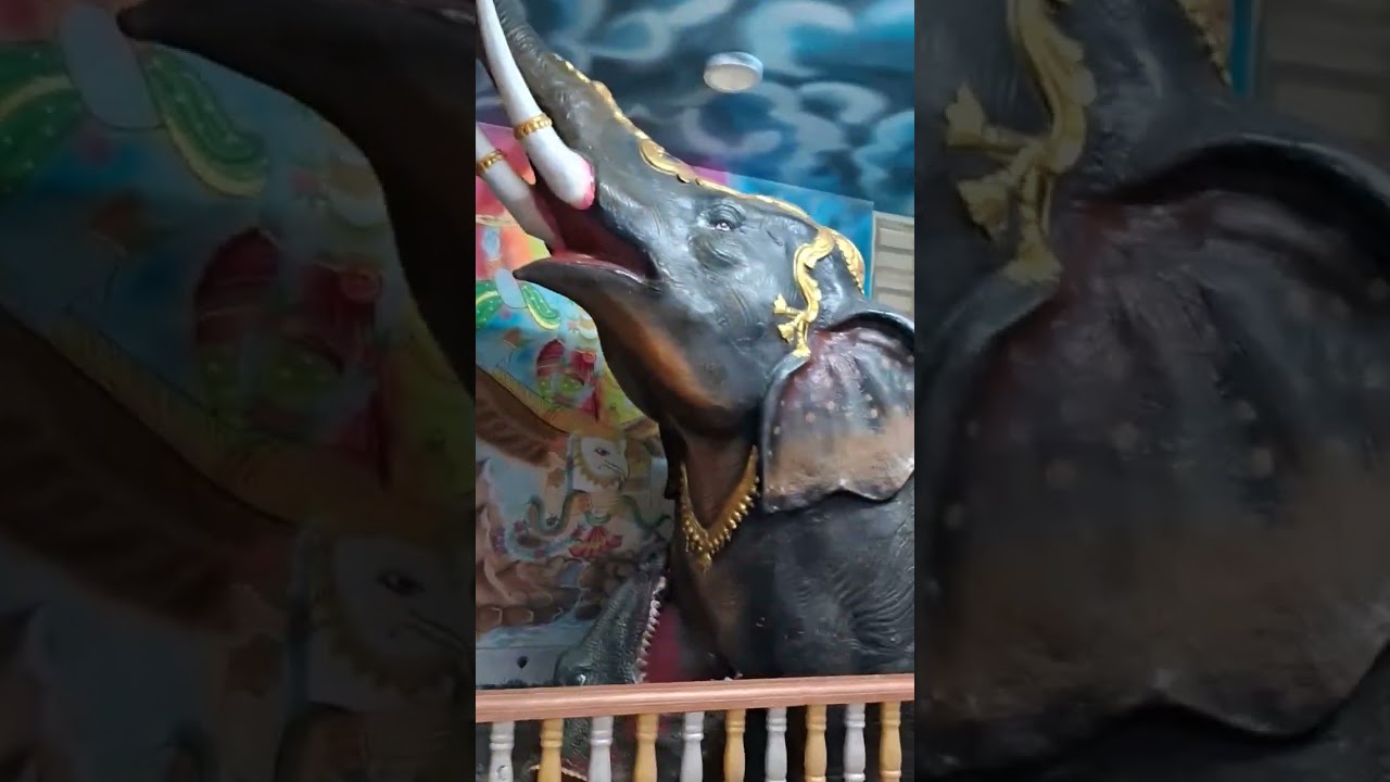 #dwarika #viralvideo #love #yshort #bhakti #devotional #travel #trending