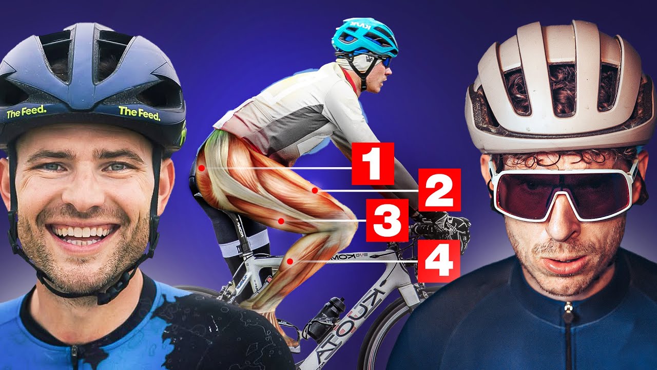 The Best Exercises For Cyclists (Strength Training)