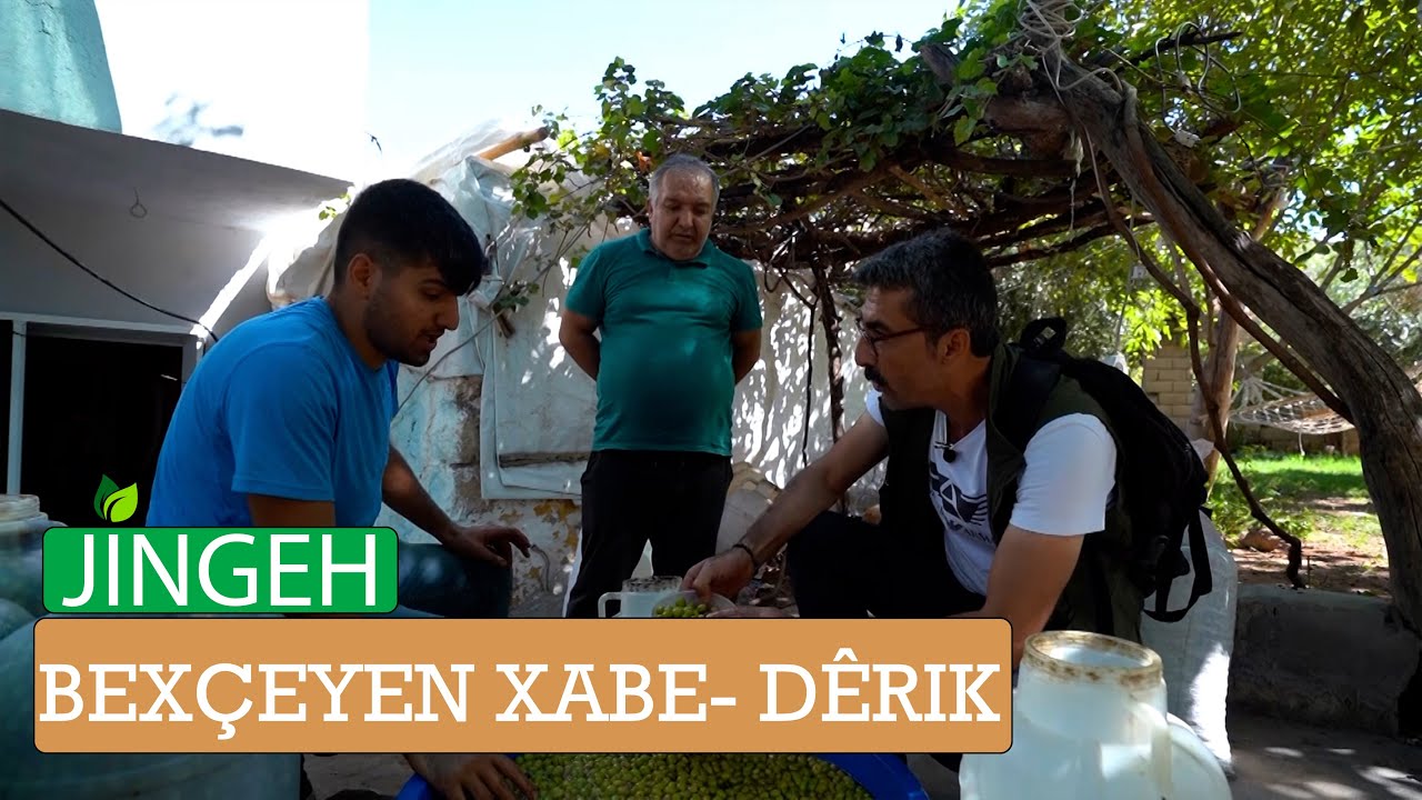 JÎNGEH - BEXÇEYEN XABÊ - DÊRIK