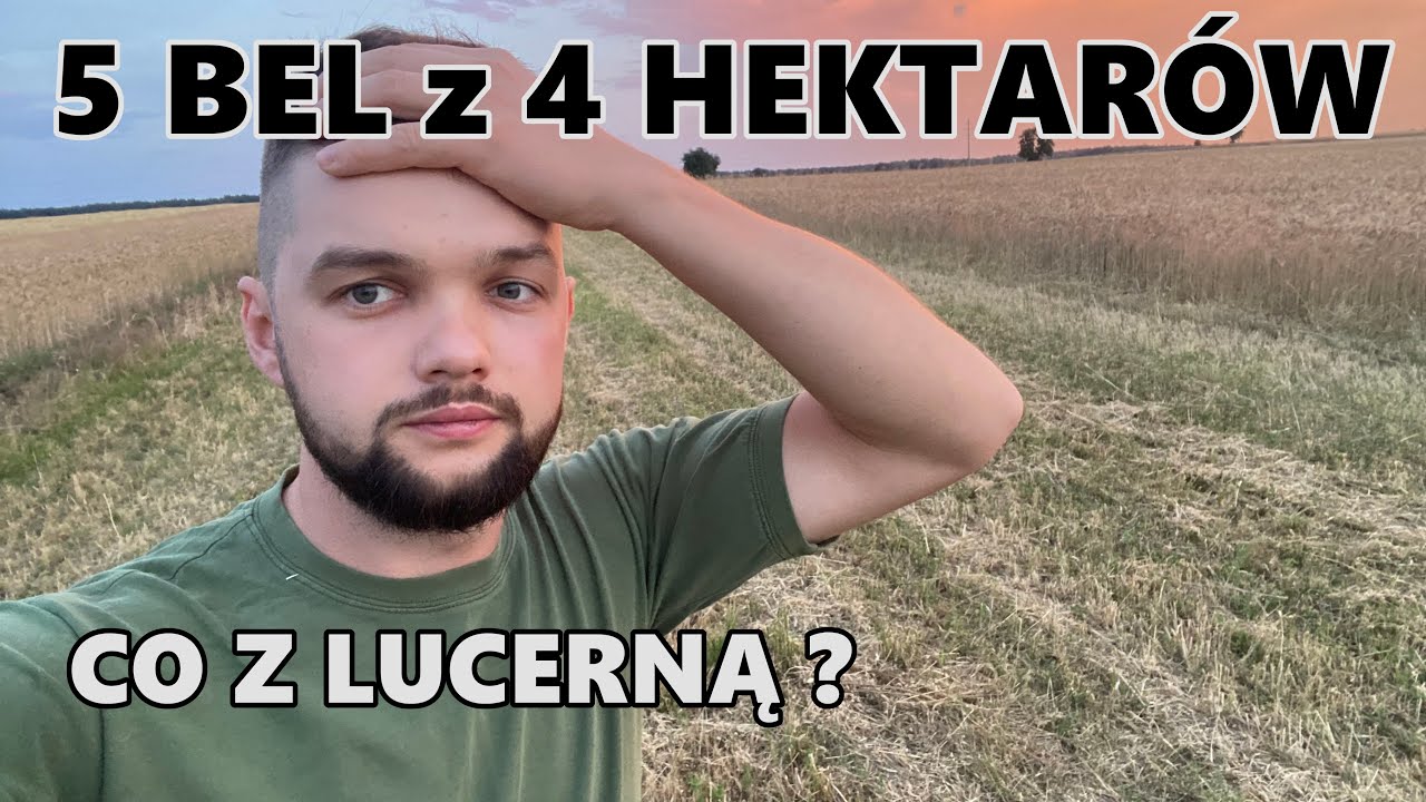 DLACZEGO LUCERNA NIE ROŚNIE  ?