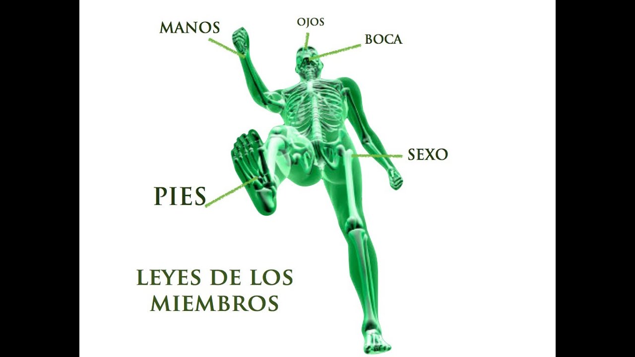 Tema 15: La ley de los miembros