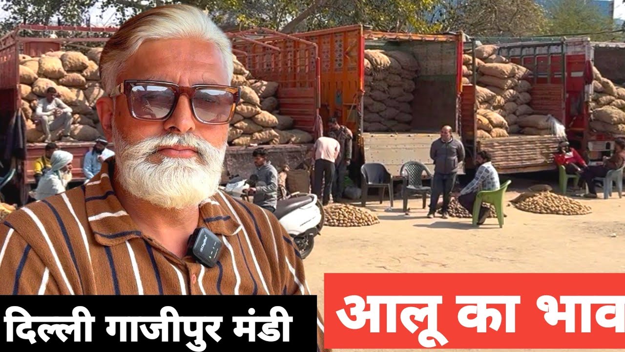 12 February 2026 🥔आलू का भाव दिल्ली ग़ाज़ीपुर मंडी | today potato rates delhi mandi #delhimandi 
