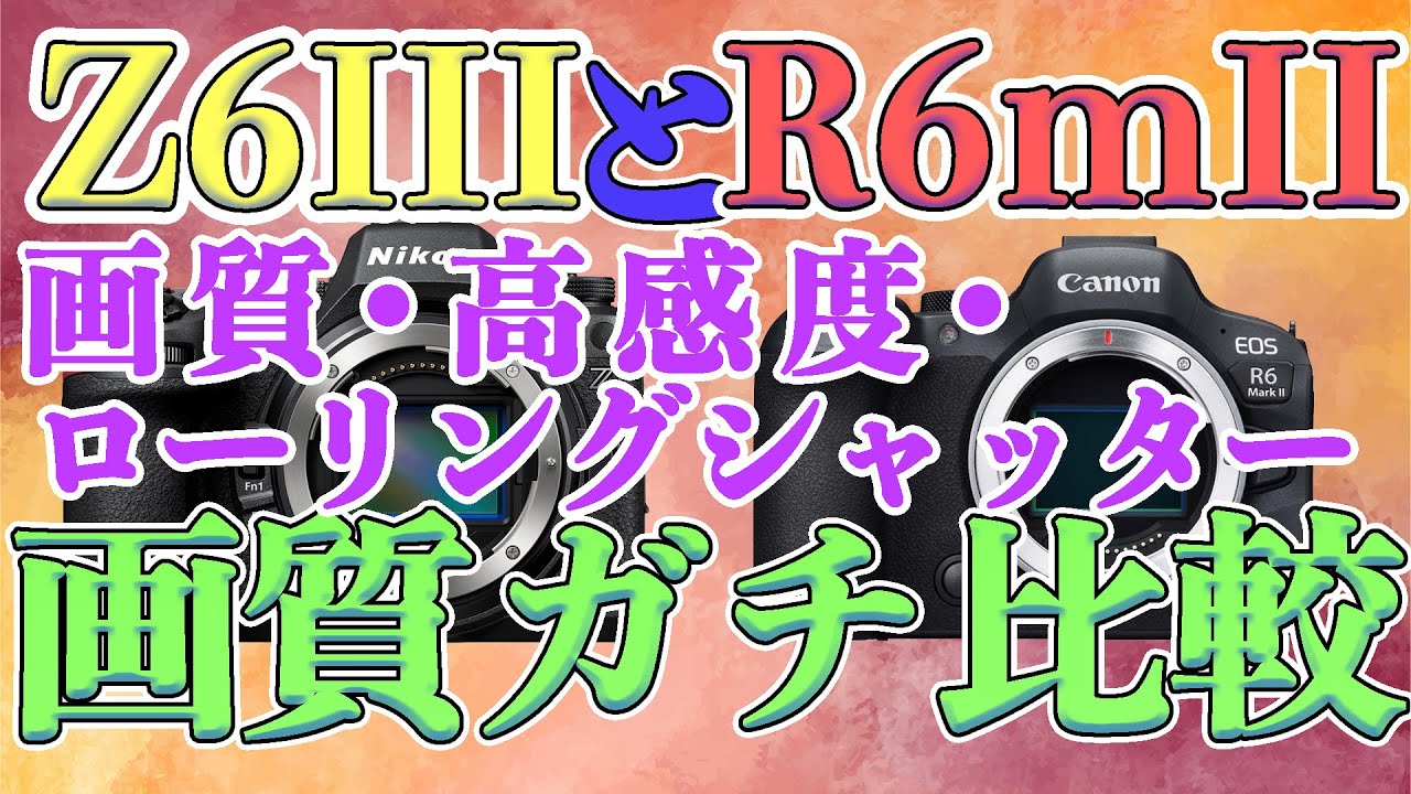 【比較】Z6IIIとR6mIIを比較してみた！