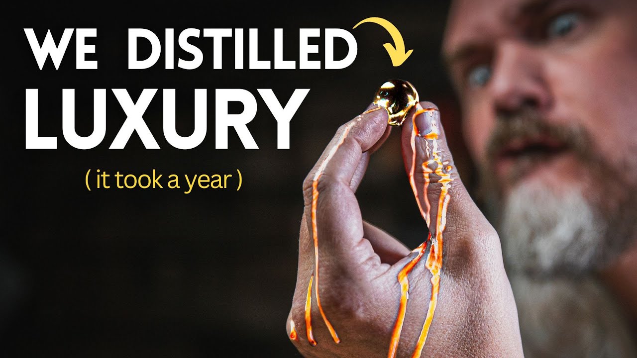 Distilled Luxardo is too classy for this world | Will It Distill
