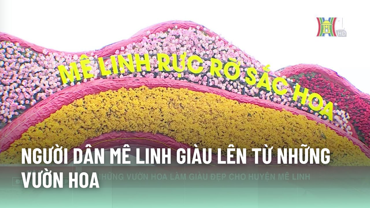 Người dân Mê Linh làm giàu từ những vườn hoa | Tin tức mới nhất