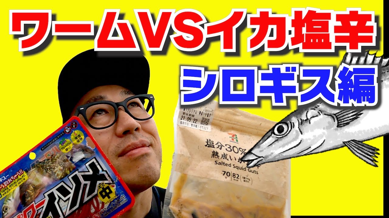 【シロギス釣り 餌】砂浜でのシロギス釣り、ワームとイカ塩辛ではどちらが釣れるのか検証しています。虫餌だけがシロギス釣りの餌じゃない！