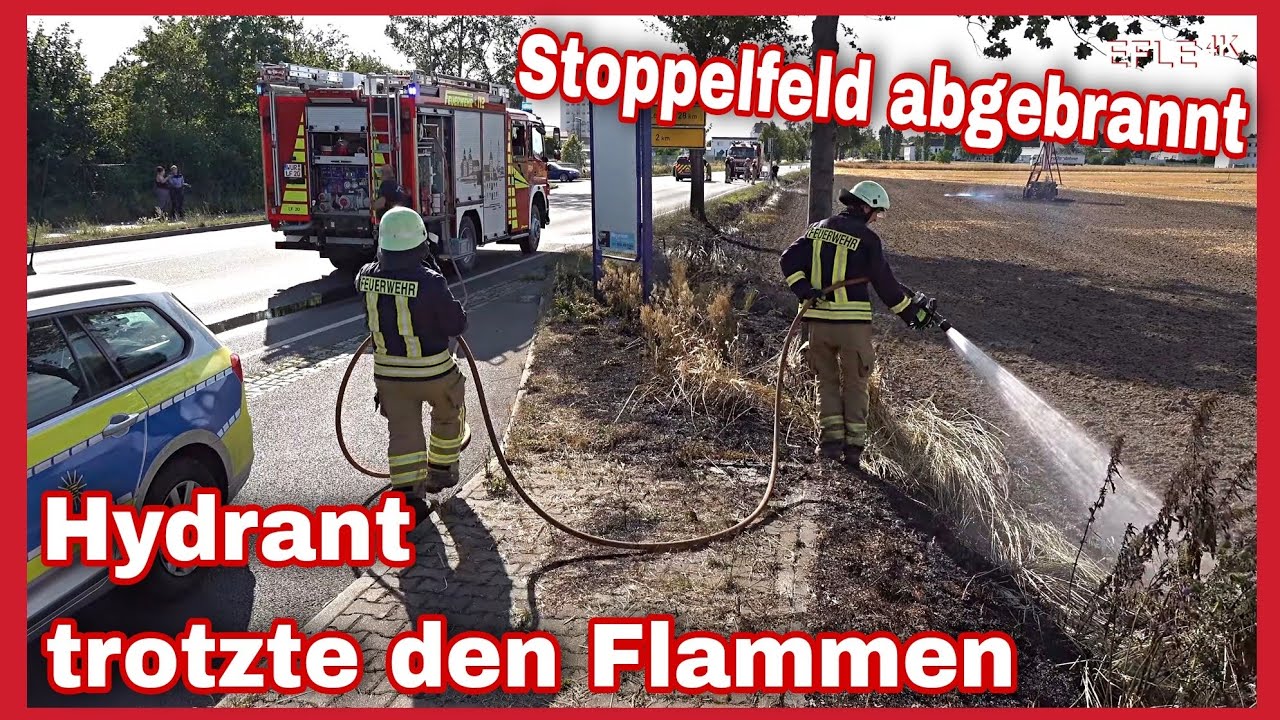 🔥FELDBRAND in WURZEN🔥Schnelles Eingreifen der FEUERWEHR🚒Robuster Hydrant auf dem Brandfeld💧