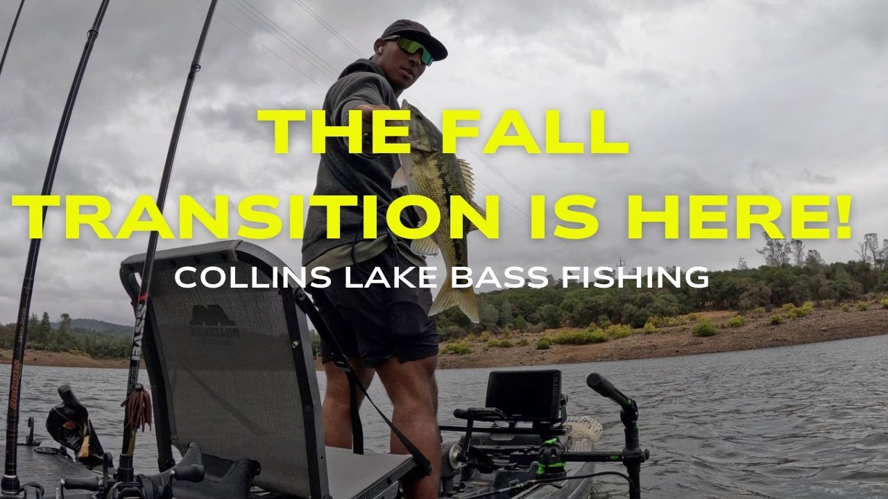 THE FALL TRANSITION IS HERE!! | CALIFORNIA BASS FISHING| COLLINS LAKE #fishing #bassfishing