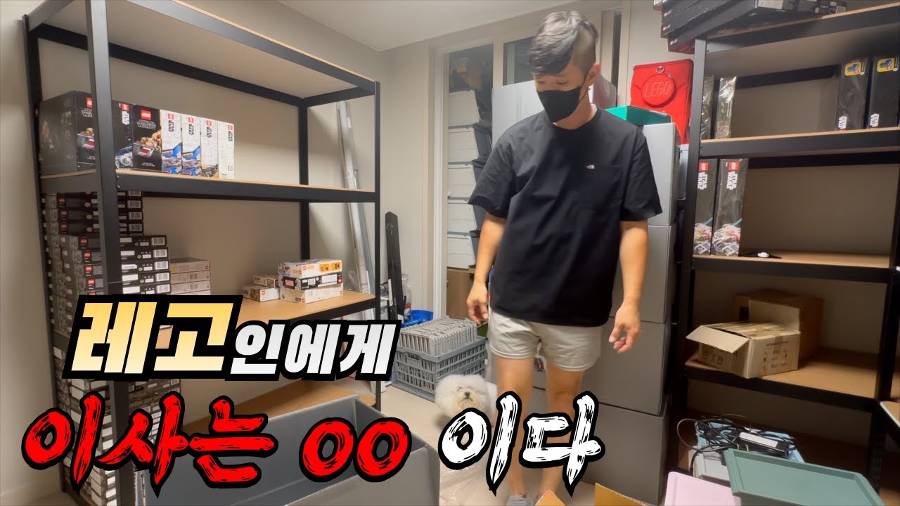 레고 덕후라면 제발 이사 하지 마세요.