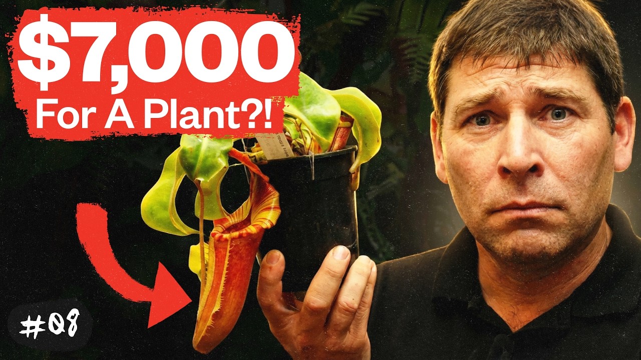 He QUIT Google to Grow Plants- Now It's a $1.3 Million Business
