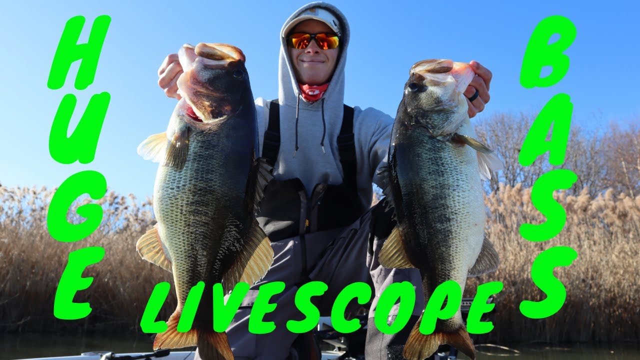 Catching BIG Bass With GARMIN LIVESCOPE (Crazy Winter Jerkbait Fishing)