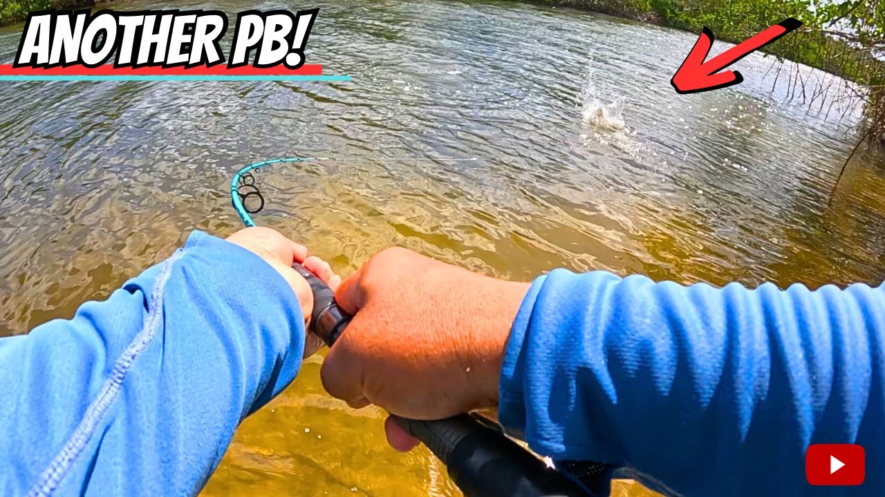 The EASIEST way to LIMIT OUT during SPRING! (Florida Saltwater Fishing)