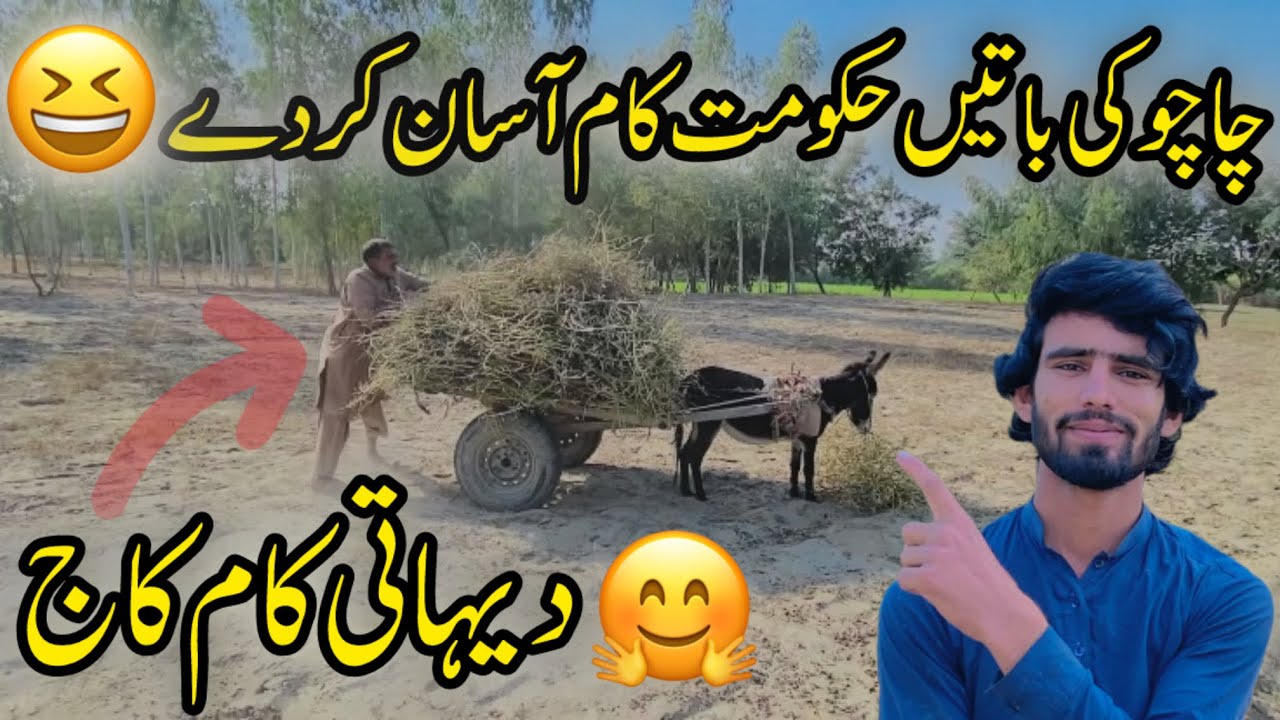 Chachu Ki Batain😂Hakumat Kaam Asan Kar Dey😆|#saraikivlog 