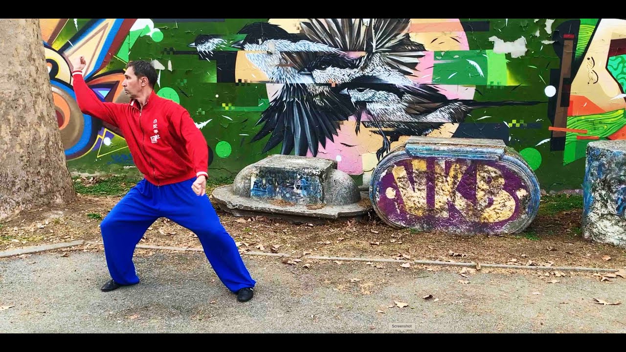 42 tecniche esplosive Taiji by Fabio Smolari