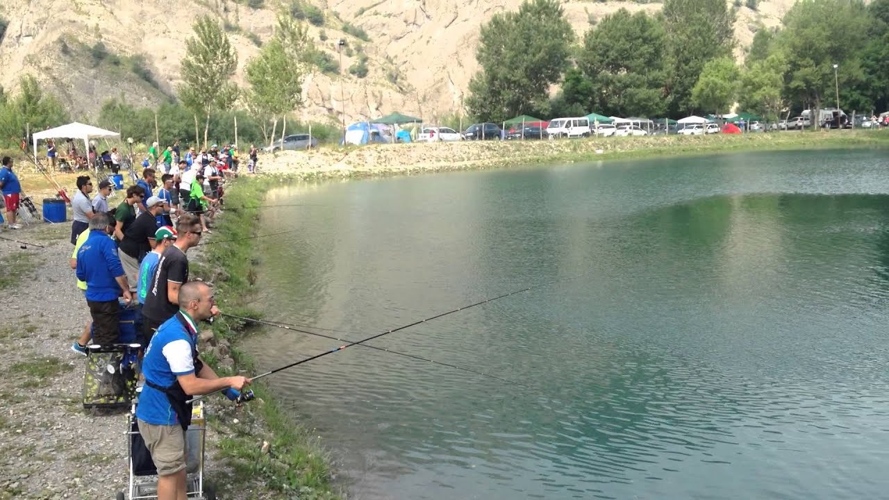 Trota lago