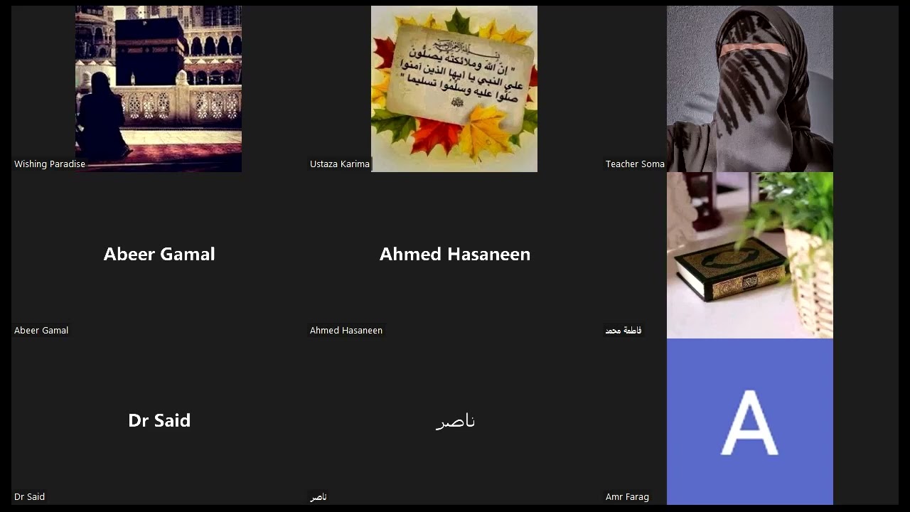 افضل نظام لإدارة حصه الترايل ؟