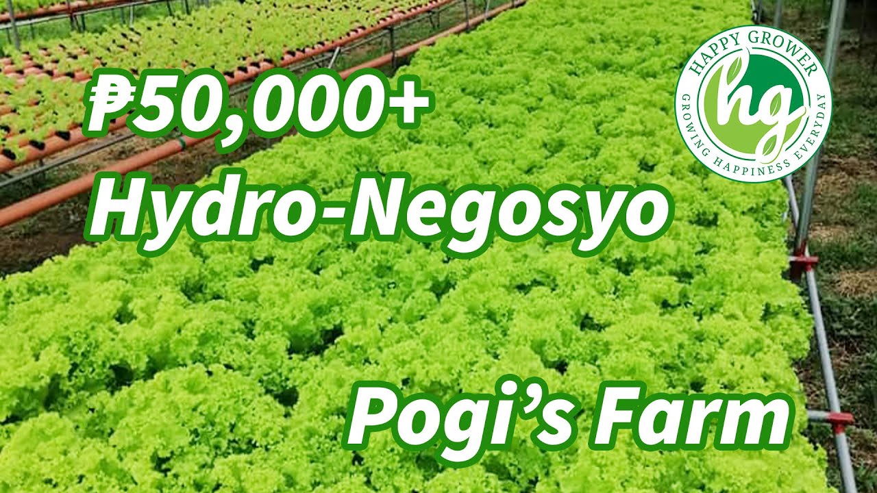Success Story ng Pogi’s Farm Mula sa Backyard Farm Hanggang Maging Commercial Farm
