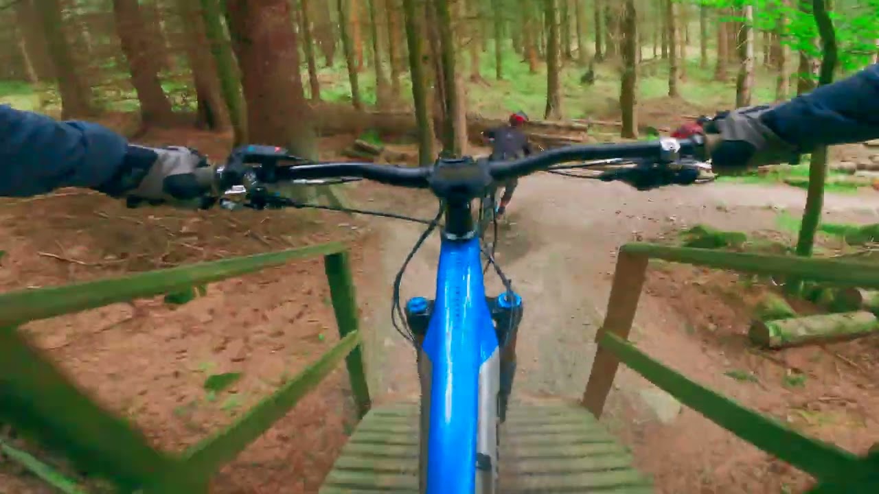 Pie Run into Mushyroom trail at Glentress MTB