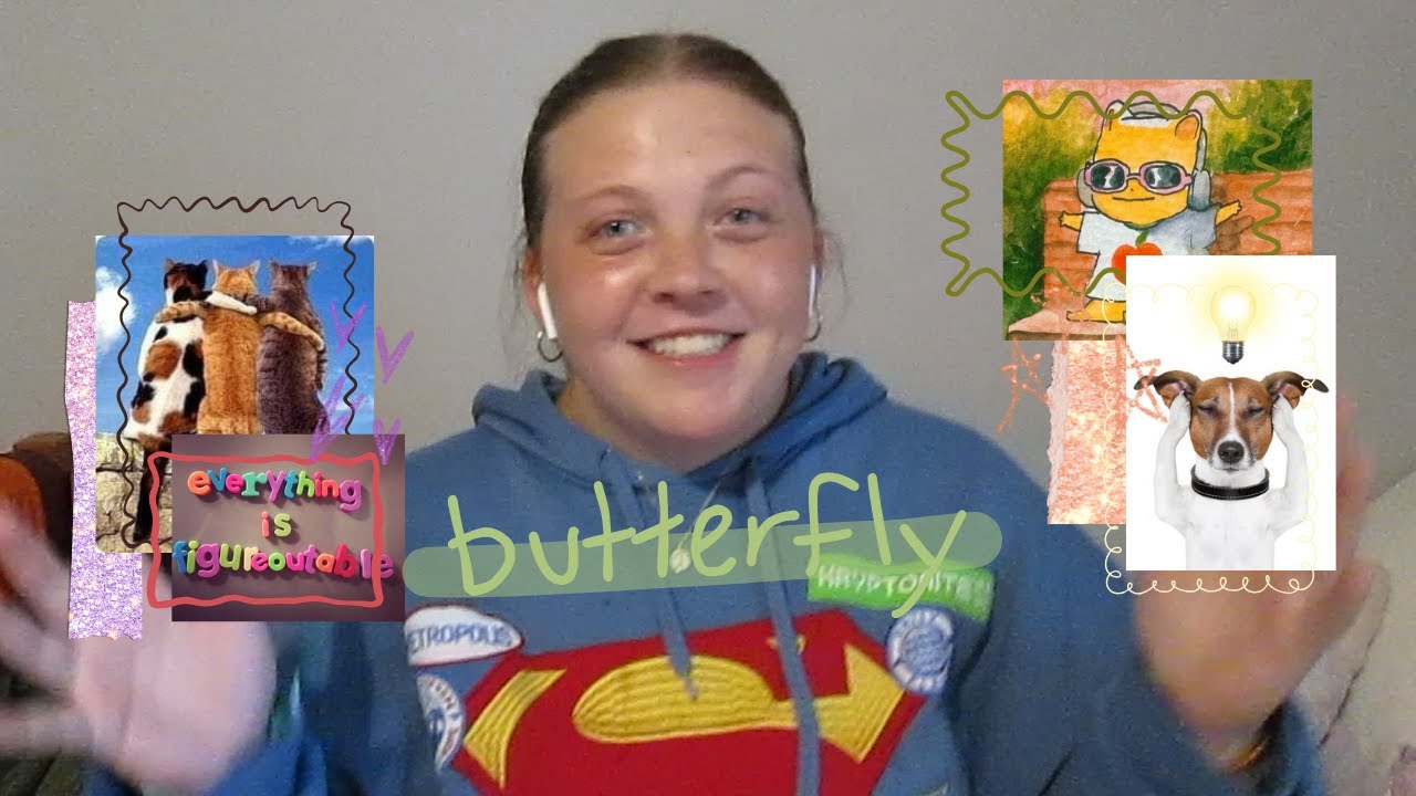 butterfly