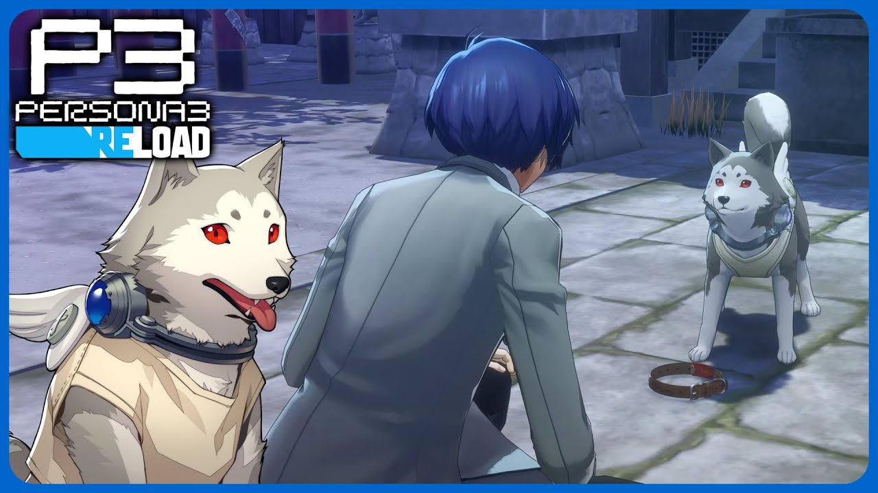 Full Koromaru Linked Episode - Persona 3 Reload