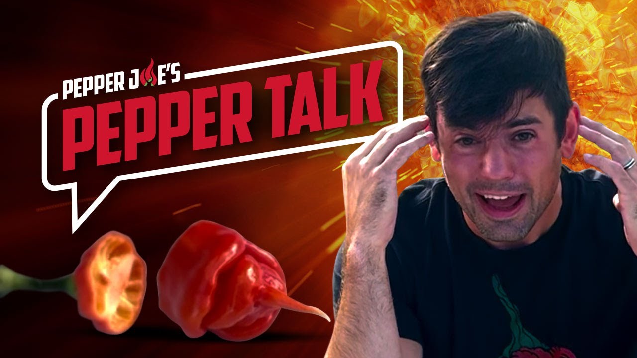 Apocalypse Scorpion Pepper Talk - Keaton eats ONE OF THE HOTTEST PEPPERS IN THE WORLD - 1.4 M SHUs