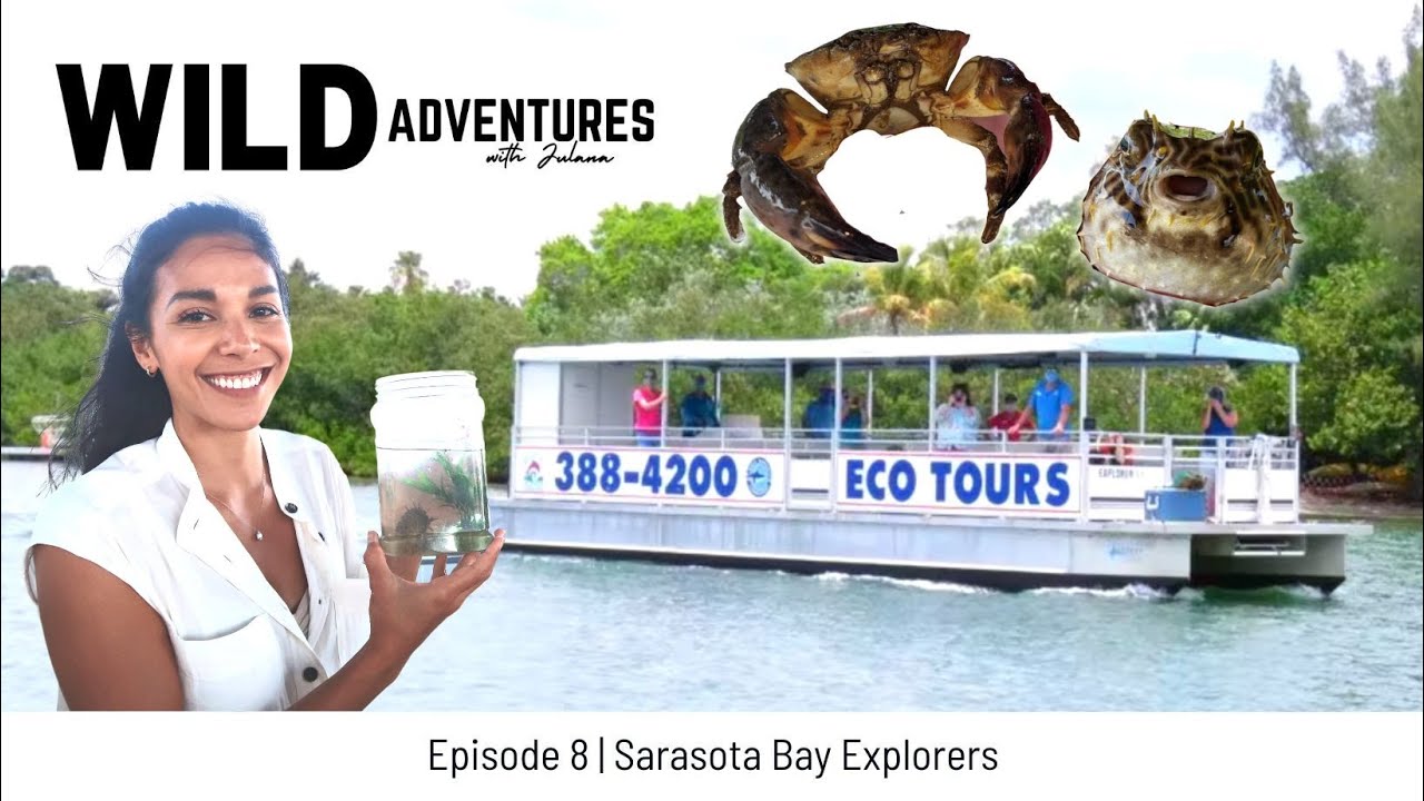 Sarasota, Florida Adventures - Eco-Boat Tour!