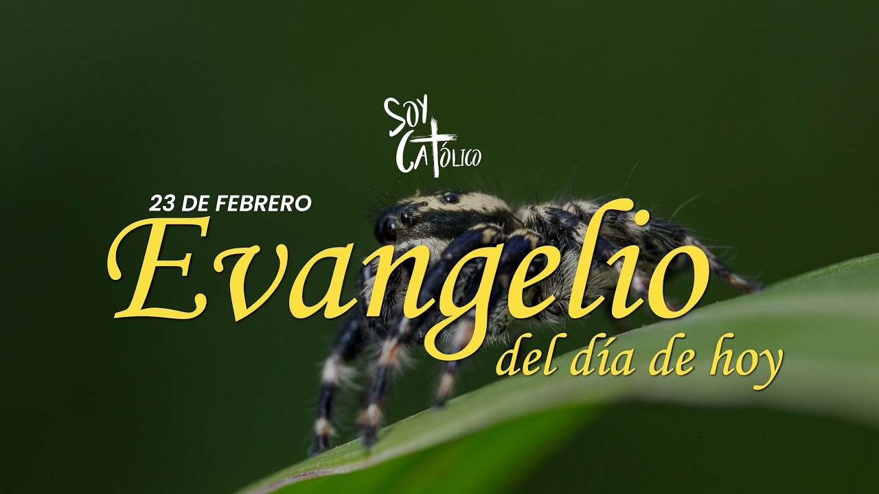 Evangelio de Hoy | Tomar la cruz y seguir a Jesús