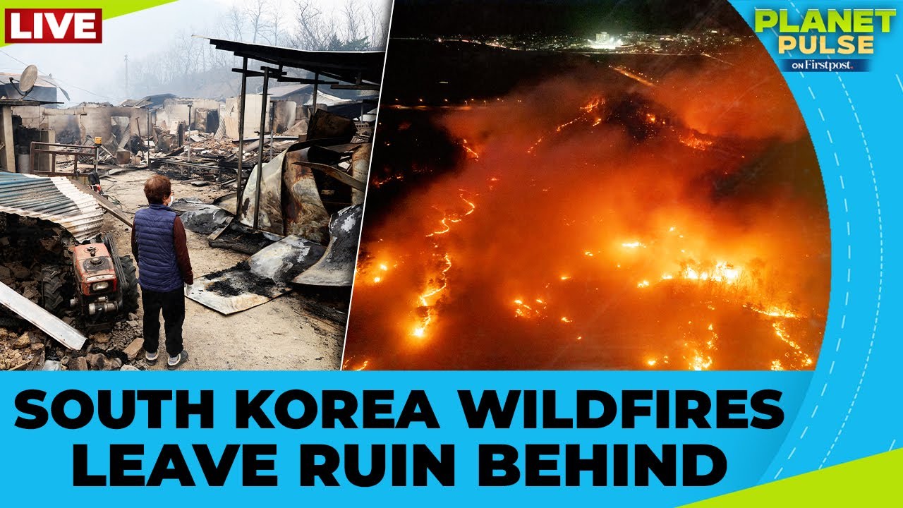 LIVE: South Korea Rebuilds After Worst Wildfire Disaster In History | Planet Pulse | N18G