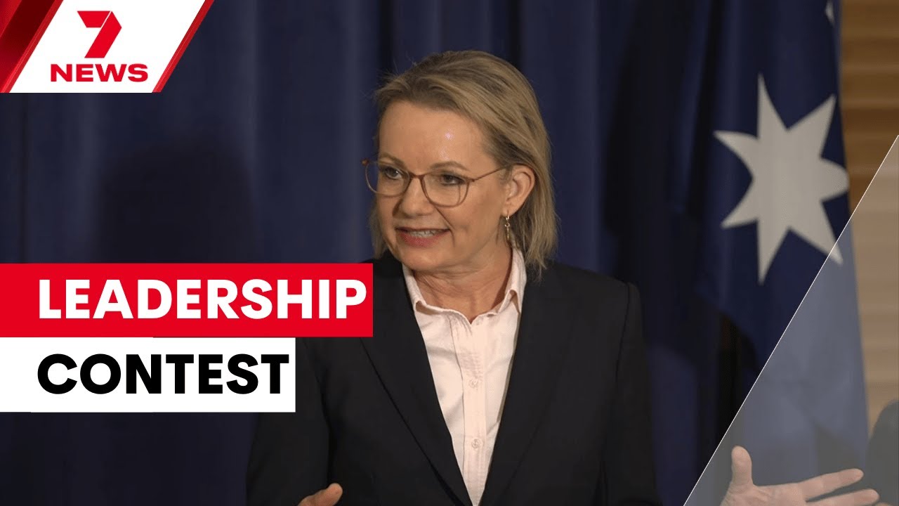 Sussan Ley's leadership in doubt as Liberals look for support | 7NEWS