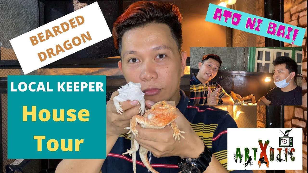 HOW TO CARE A BEARDED DRAGON: LOCAL KEEPER HOUSE TOUR TIPS AND GUIDE