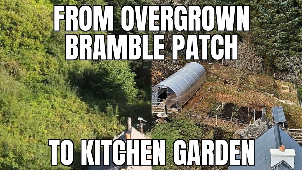 ep12. Starting a Kitchen Garden | From Bramble Patch to Productive Garden