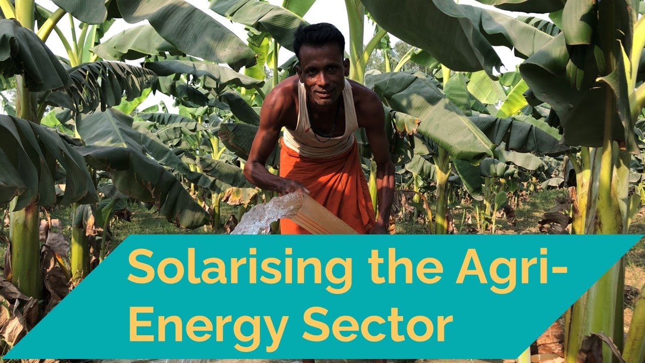 Solarising the agri-energy sector | Oorja Development Solutions Ltd