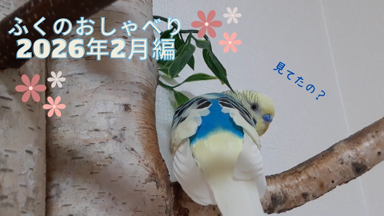 #053 20260225　ふくのおしゃべり2026年2月編