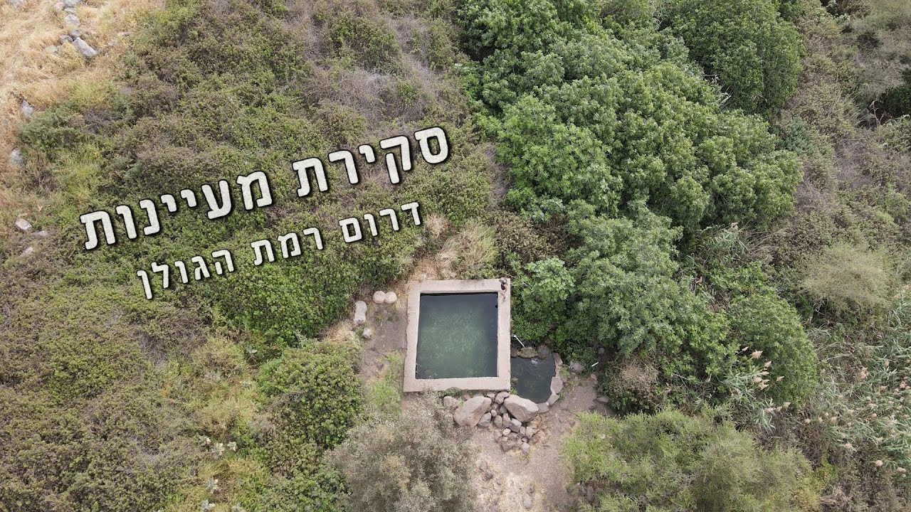 מעיינות שאתם חייבים להכיר ברמת הגולן!