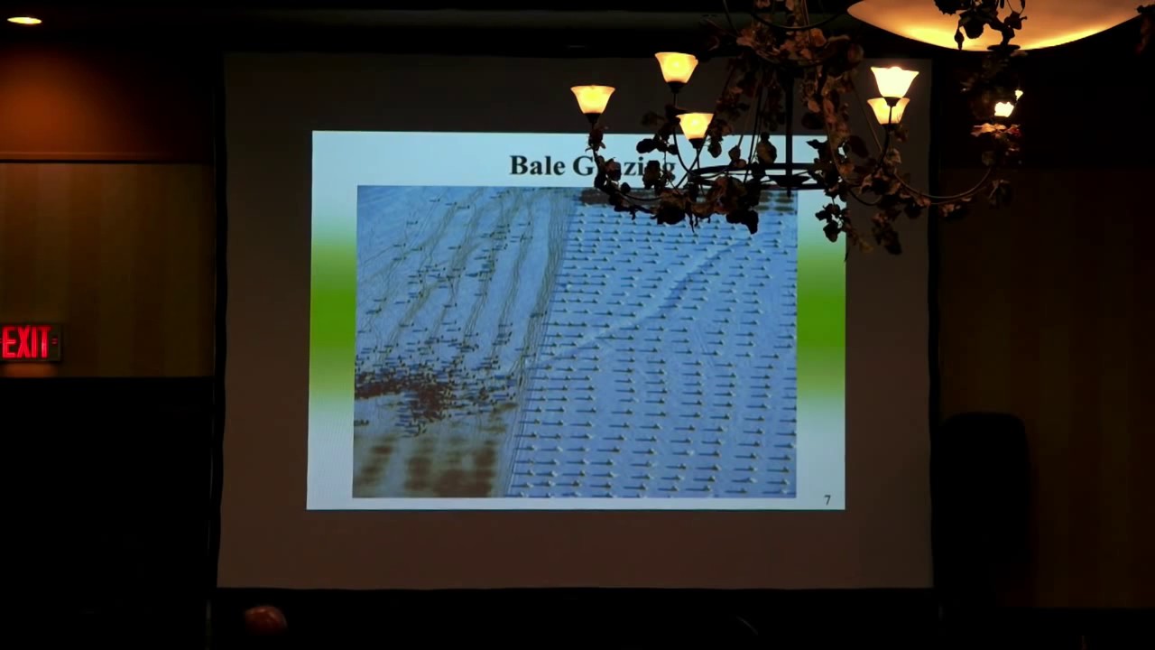Winter Grazing Management Practices - Farming Smarter Conference 2014