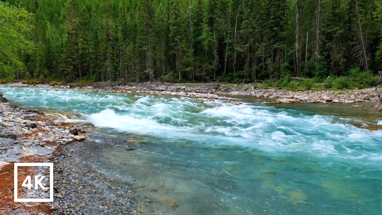 4K Blue Alpine River | BC Backcountry | Forest River Nature Sounds for Sleep & Study | White Noise