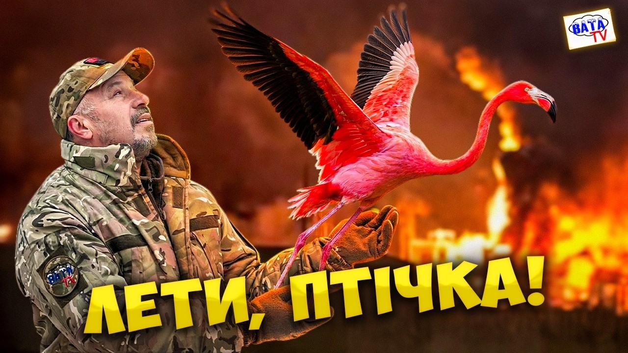 Вони ж не літають