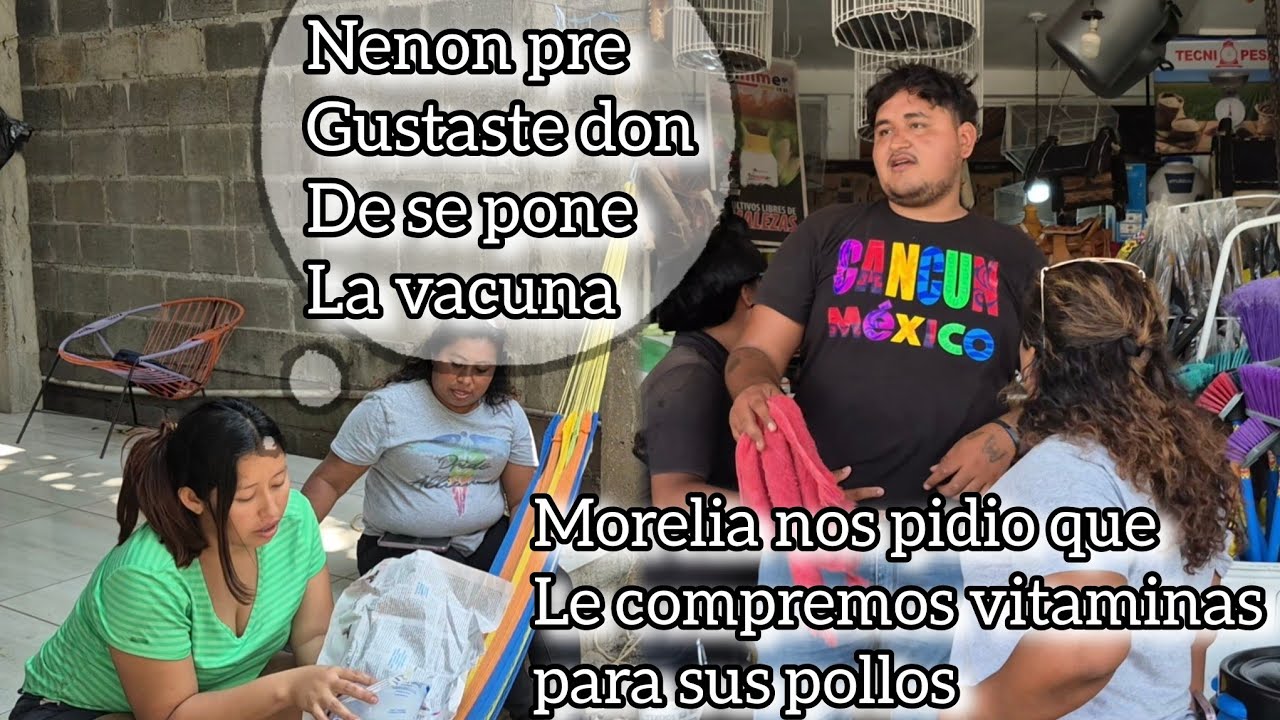 Morelia nos pidio favor de comprarle m3dic4ment0 para sus gallinas esto paso😱