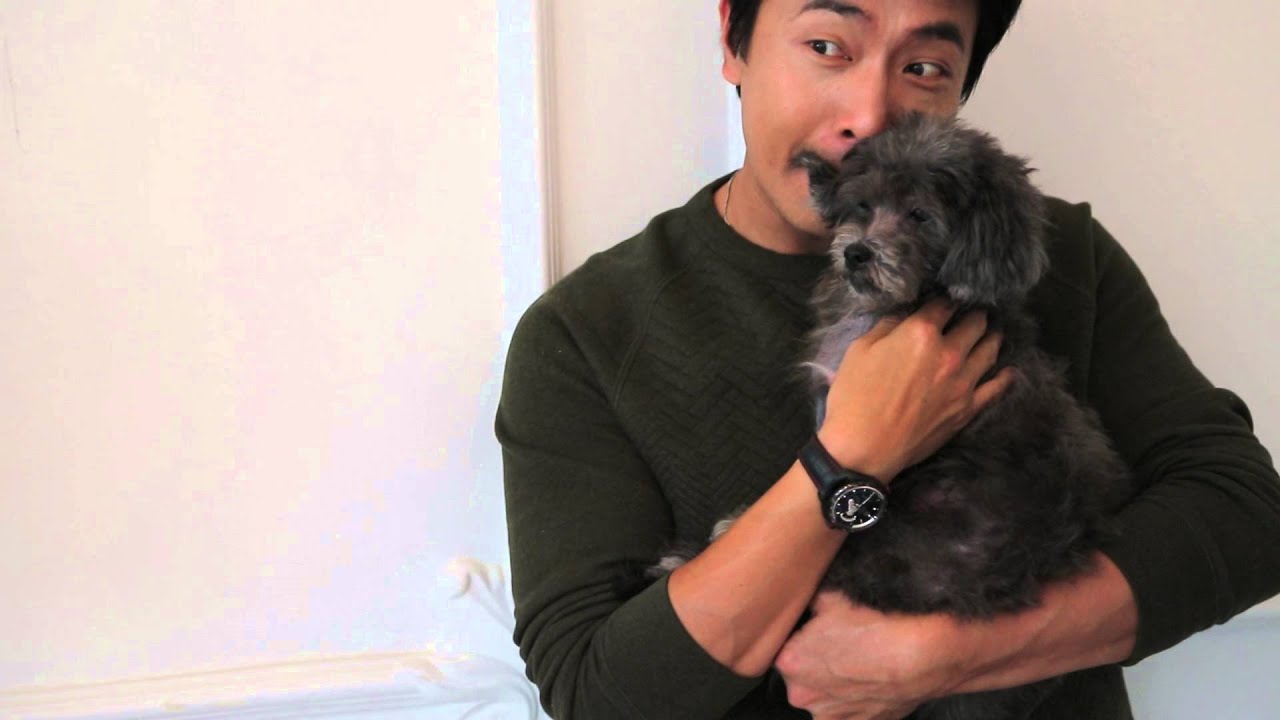 Pets Magazine Aug/Sep 13 cover shoot with Tay Ping Hui