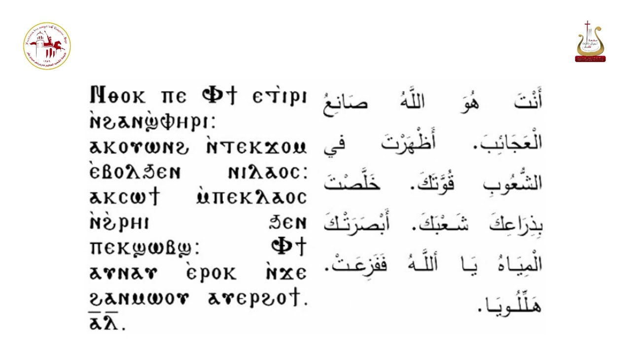 سنجاري عرس قانا الجليل / المرتل شفيق سمير