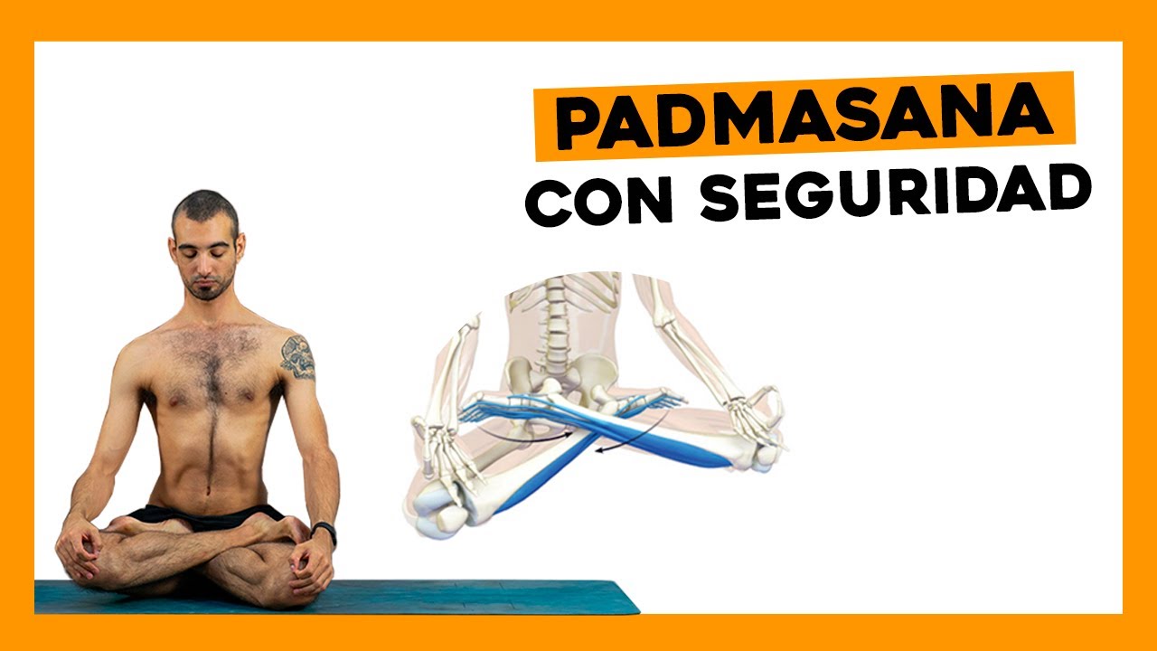 Biomecanica del Loto - Padmasana