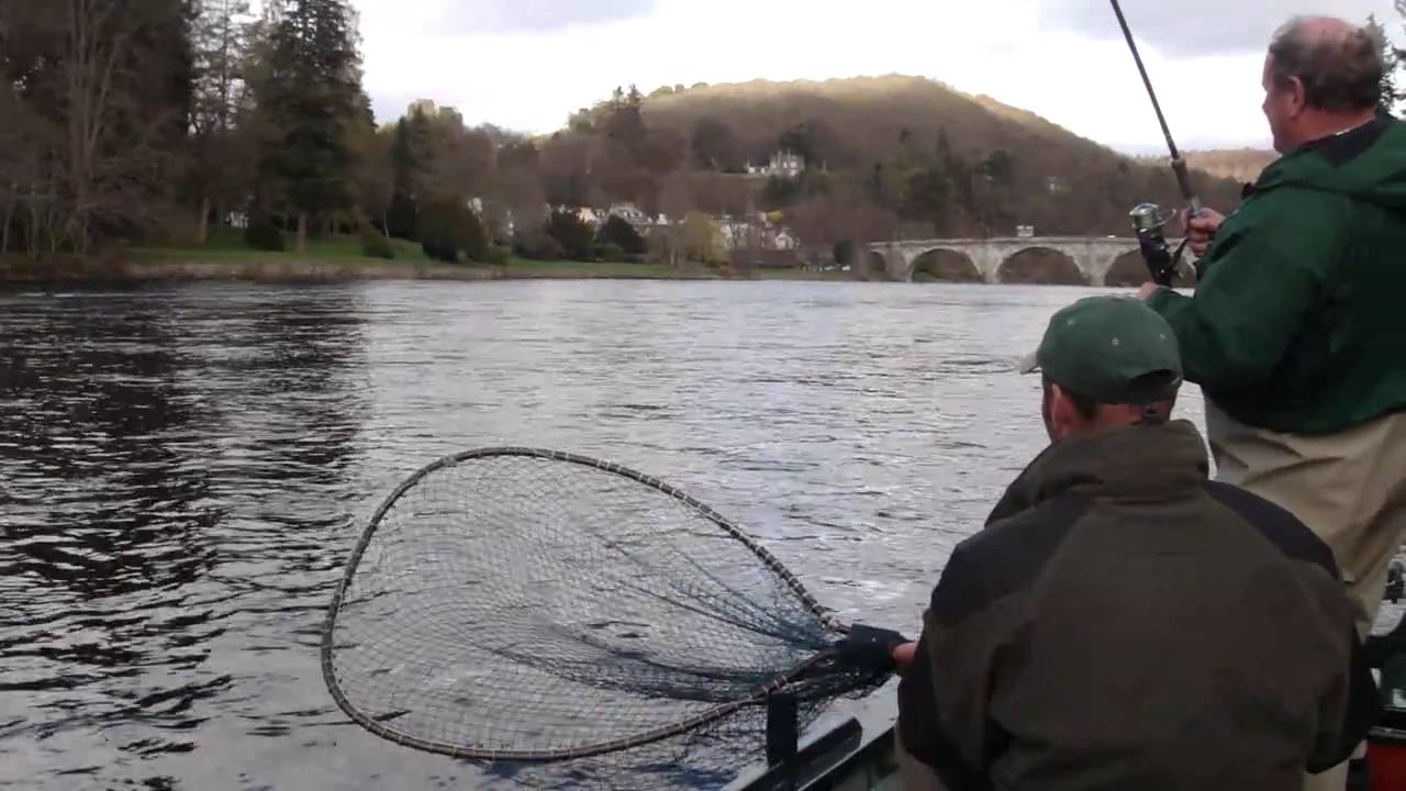 Salmon Fishing, River Tay, Perthshire, Scotland